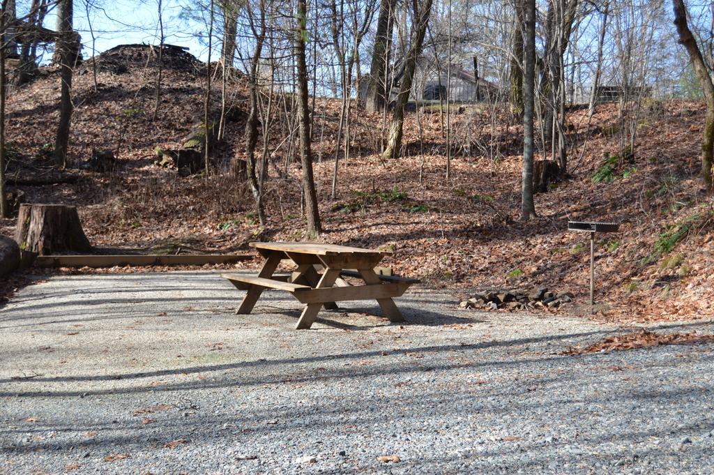 Linville Falls Campground, RV Park,&Cabins Extérieur photo