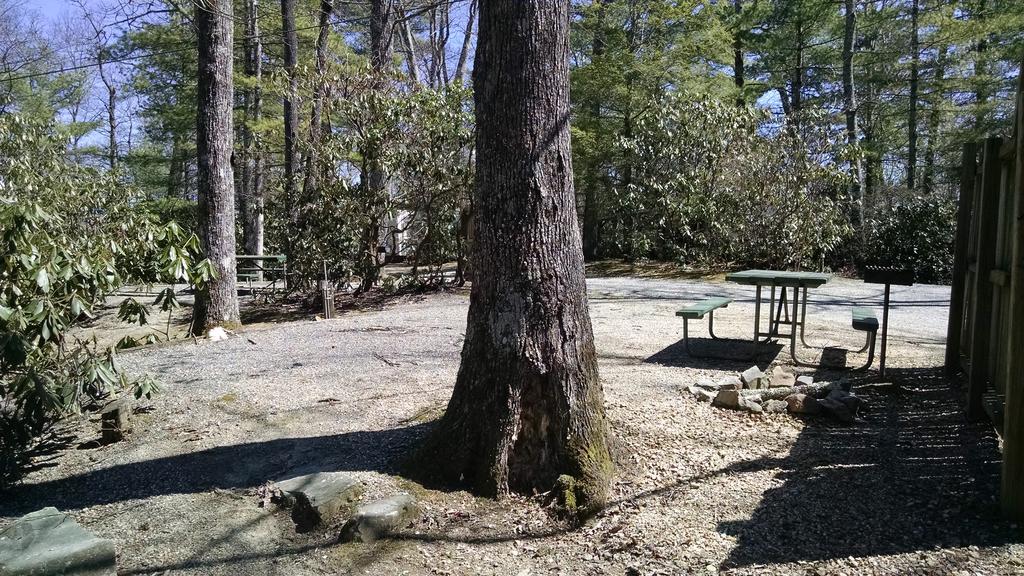 Linville Falls Campground, RV Park,&Cabins Extérieur photo